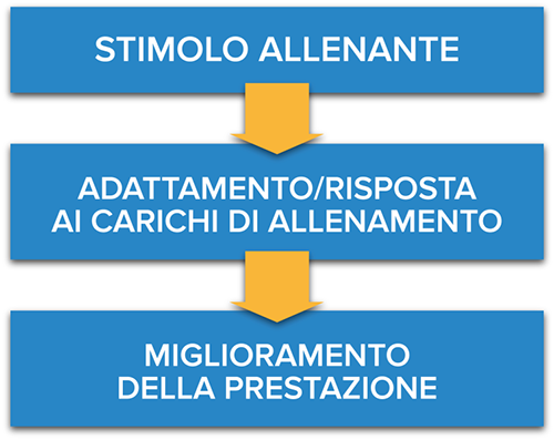 Stimolo allenante training load monitoring